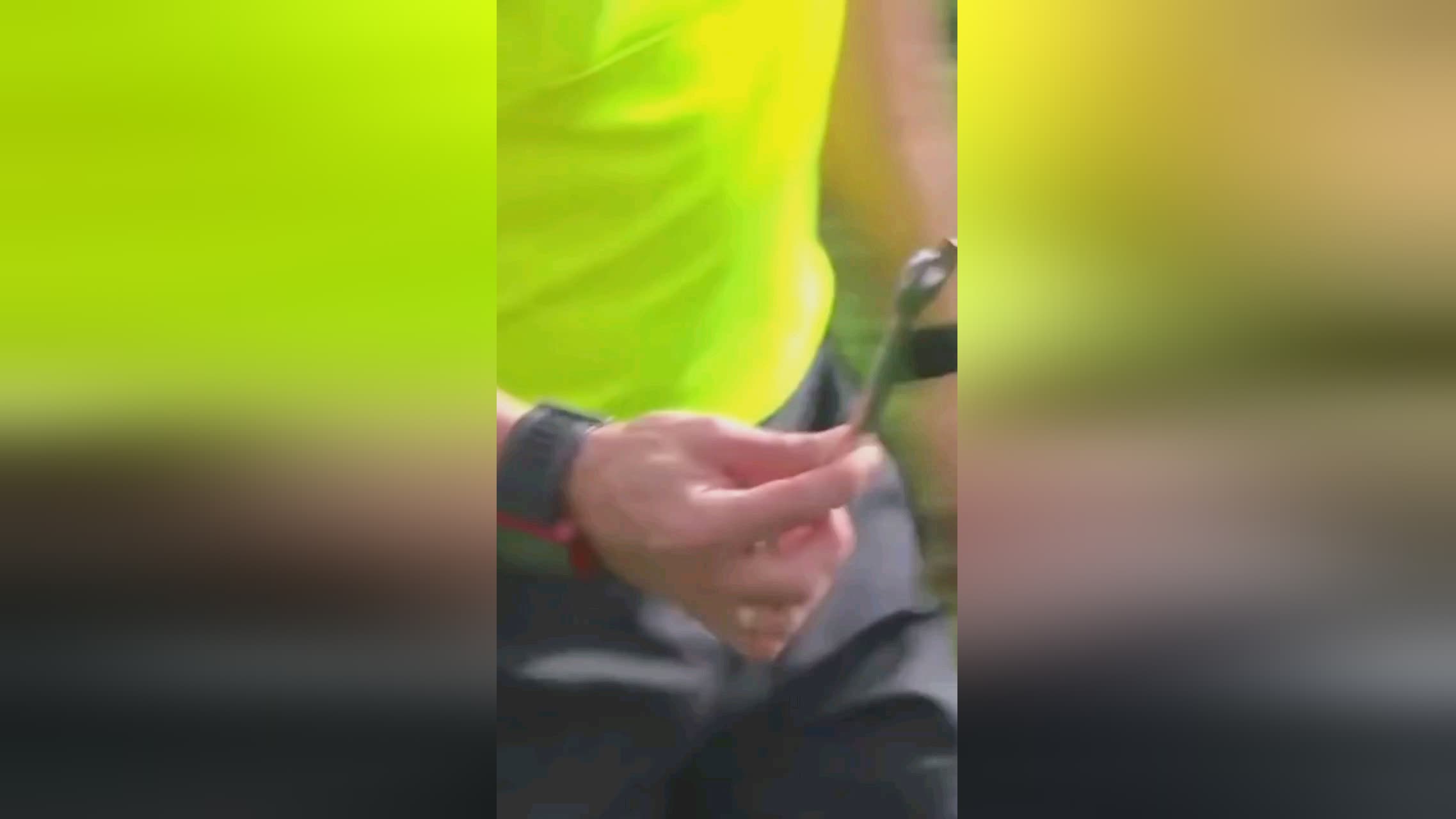 的精神在多